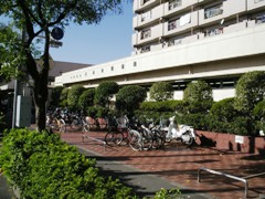 大田区立図書館 トップページ 大田区立図書館 トップページ